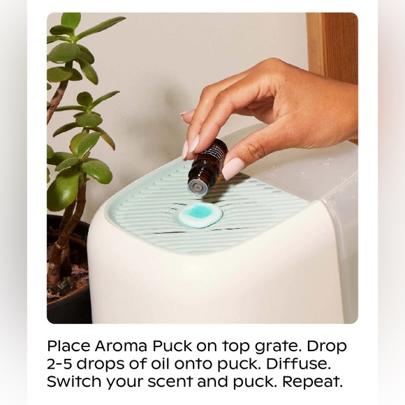 Unwind by Canopy Signature Aroma - Picture 8 of 8